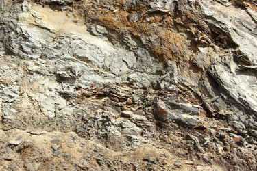 Similar image 1386948