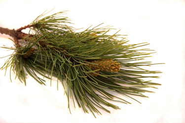 Similar image 1386949