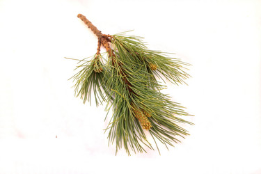 Similar image 1386950