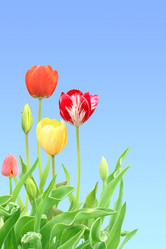 Similar image 1386959