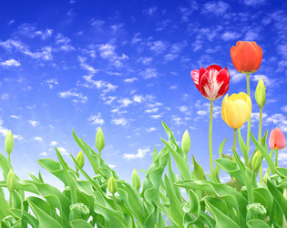 Similar image 1386961