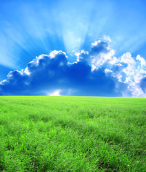 Similar image 1386962