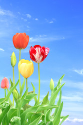 Similar image 1386964