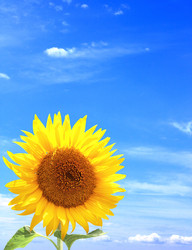 Similar image 1386966