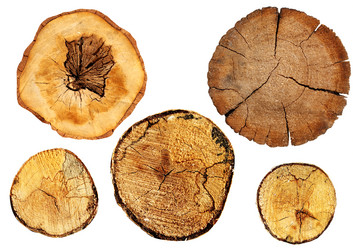 Similar image 1386972