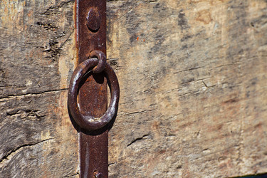 Similar image 1386984