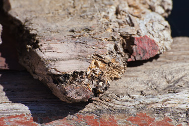 Similar image 1386987