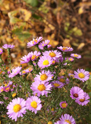 Similar image 1386993