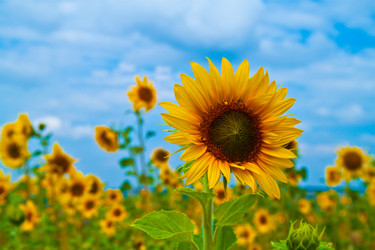 Similar image 1387029