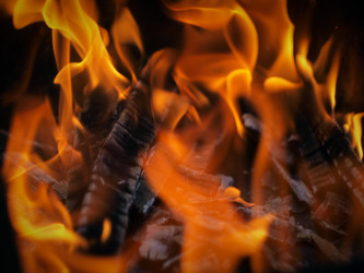 Similar image 1387081