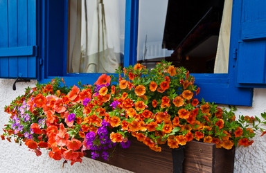 Similar image 1387086