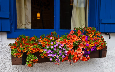 Similar image 1387089