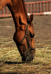 Similar image 1387108