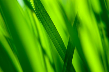 Similar image 1387139