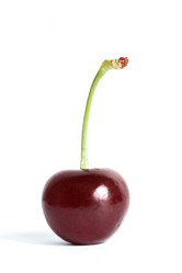 Similar image 1387151