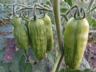 Similar image 1387278