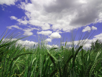 Similar image 1387280