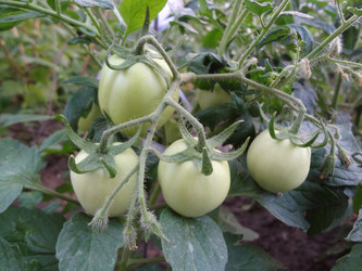 Similar image 1387283