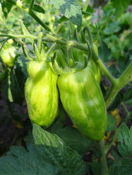 Similar image 1387284