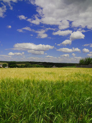 Similar image 1387285