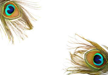 Similar image 1387296