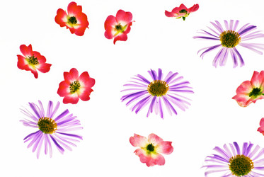 Similar image 1387305