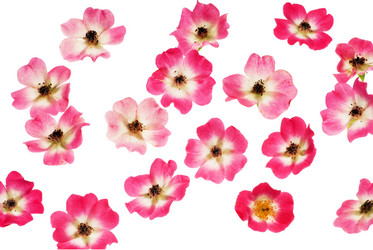 Similar image 1387307