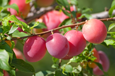 Similar image 1387312