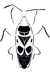 Similar image 1387351