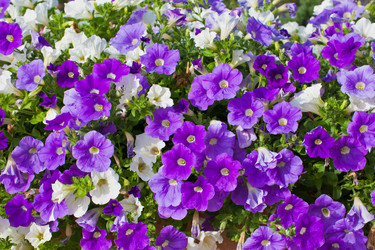 Similar image 1387423