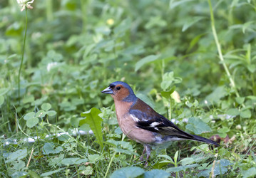 Similar image 1387442