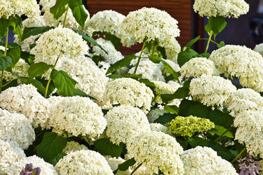 Similar image 1387443