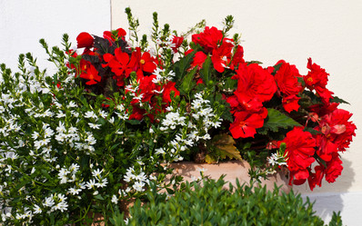 Similar image 1387445