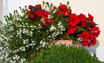 Similar image 1387446