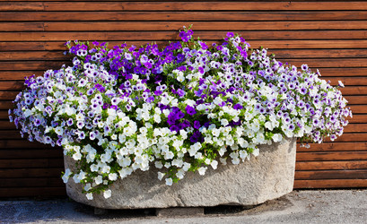 Similar image 1387449