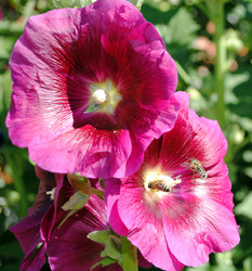 Similar image 1387537