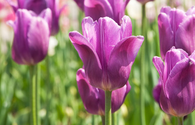 Similar image 1387593