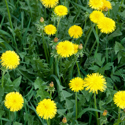 Similar image 1387594