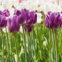 Similar image 1387595