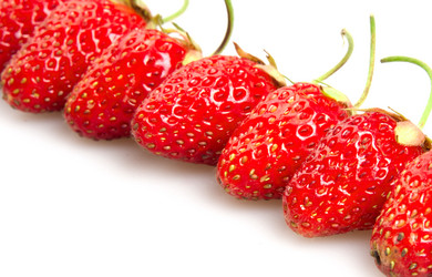 Similar image 1387603