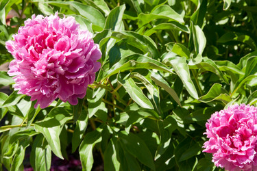 Similar image 1387613