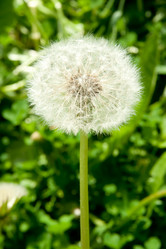 Similar image 1387615