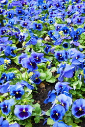 Similar image 1387617