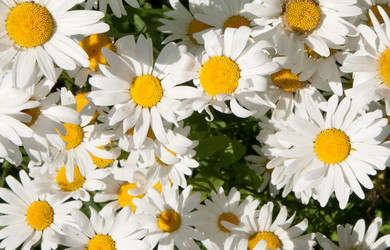 Similar image 1387620