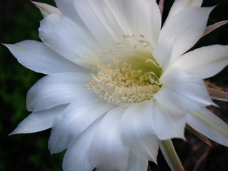 Similar image 1387628