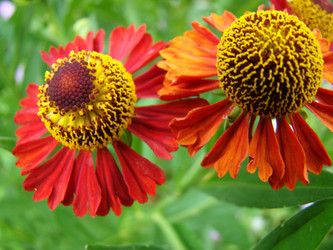 Similar image 1387630