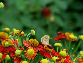 Similar image 1387631