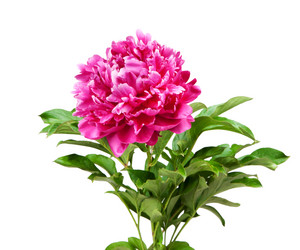 Similar image 1387632