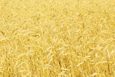 Similar image 1387635