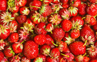 Similar image 1387637